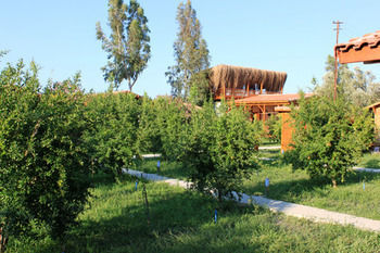 Villa Iz Çıralı Extérieur photo